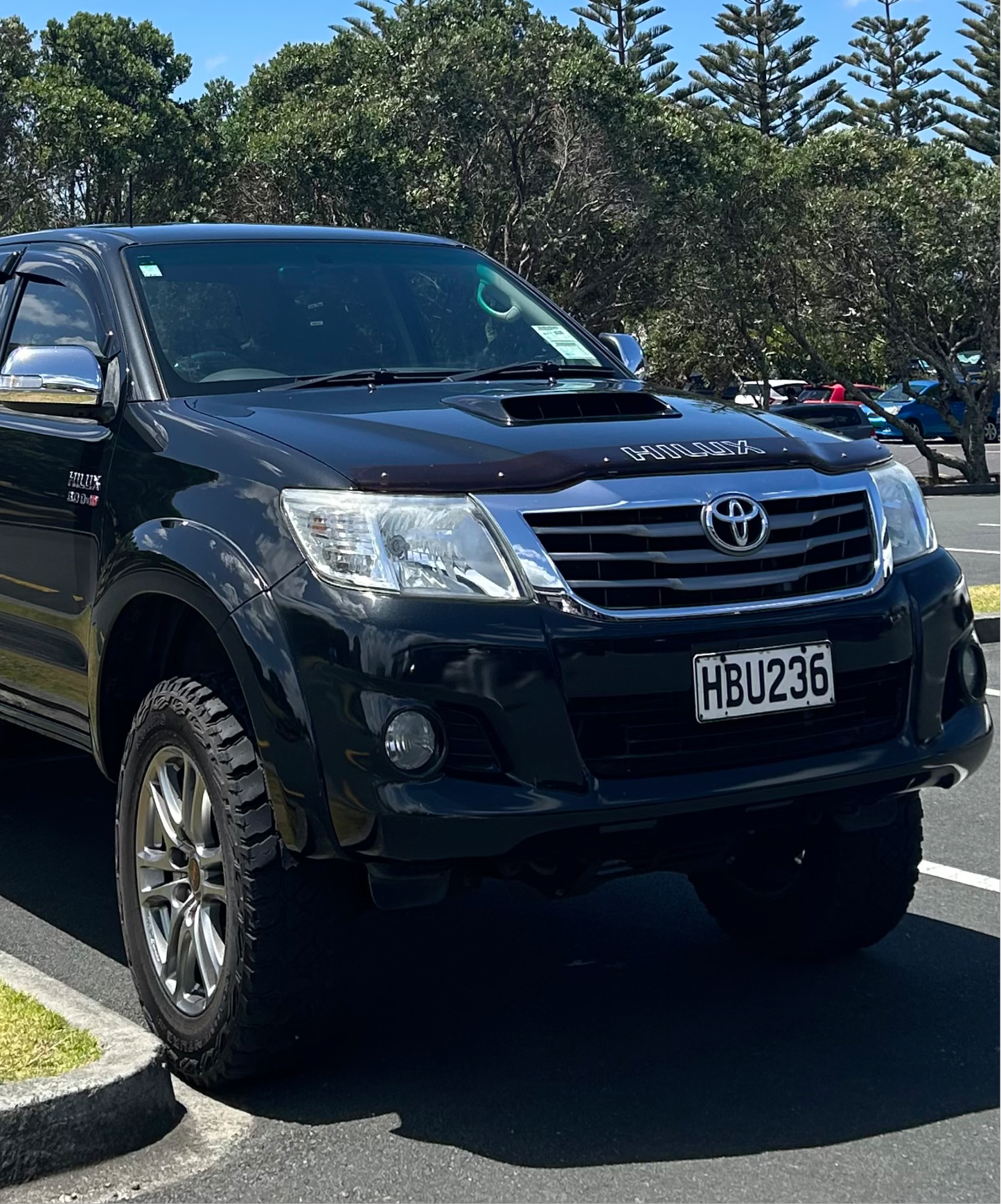 Toyota Hilux N70 Bonnet Protector 2005-2015